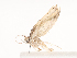 ( - CBG-A41788-C01)  @11 [ ] CreativeCommons - Attribution Share - Alike (2024) CBG Photography Group Centre for Biodiversity Genomics