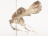  ( - CBG-A41788-C10)  @11 [ ] CreativeCommons - Attribution Share - Alike (2024) CBG Photography Group Centre for Biodiversity Genomics