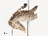  ( - CBG-A41789-A02)  @11 [ ] CreativeCommons - Attribution Share - Alike (2024) CBG Photography Group Centre for Biodiversity Genomics
