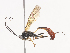  ( - CBG-A41790-D04)  @11 [ ] CreativeCommons - Attribution Share - Alike (2024) CBG Photography Group Centre for Biodiversity Genomics