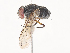  ( - CBG-A41790-F06)  @11 [ ] CreativeCommons - Attribution Share - Alike (2024) CBG Photography Group Centre for Biodiversity Genomics