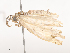  ( - CBG-A41791-G04)  @11 [ ] CreativeCommons - Attribution Share - Alike (2024) CBG Photography Group Centre for Biodiversity Genomics