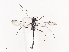  ( - CBG-A41792-A03)  @11 [ ] CreativeCommons - Attribution Share - Alike (2024) CBG Photography Group Centre for Biodiversity Genomics