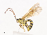  ( - CBG-A41792-C07)  @11 [ ] CreativeCommons - Attribution Share - Alike (2024) CBG Photography Group Centre for Biodiversity Genomics
