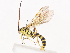  ( - CBG-A41792-D11)  @11 [ ] CreativeCommons - Attribution Share - Alike (2024) CBG Photography Group Centre for Biodiversity Genomics