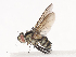  ( - CBG-A41792-E01)  @11 [ ] CreativeCommons - Attribution Share - Alike (2024) CBG Photography Group Centre for Biodiversity Genomics