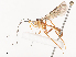  ( - CBG-A41792-G02)  @11 [ ] CreativeCommons - Attribution Share - Alike (2024) CBG Photography Group Centre for Biodiversity Genomics