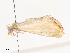  ( - CBG-A41905-B01)  @11 [ ] CreativeCommons - Attribution Share - Alike (2024) CBG Photography Group Centre for Biodiversity Genomics