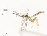  ( - CBG-A51969-H01)  @11 [ ] CreativeCommons - Attribution Share - Alike (2024) CBG Photography Group Centre for Biodiversity Genomics