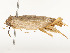  ( - CBG-A54421-B08)  @11 [ ] CreativeCommons - Attribution Share - Alike (2024) CBG Photography Group Centre for Biodiversity Genomics