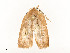  ( - CBG-A54421-F09)  @11 [ ] CreativeCommons - Attribution Share - Alike (2024) CBG Photography Group Centre for Biodiversity Genomics