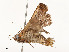  ( - CBG-A54422-B08)  @11 [ ] CreativeCommons - Attribution Share - Alike (2024) CBG Photography Group Centre for Biodiversity Genomics