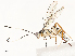  ( - CBG-A54424-B05)  @11 [ ] CreativeCommons - Attribution Share - Alike (2024) CBG Photography Group Centre for Biodiversity Genomics