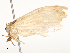  ( - CBG-A54424-F04)  @11 [ ] CreativeCommons - Attribution Share - Alike (2024) CBG Photography Group Centre for Biodiversity Genomics