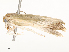  ( - CBG-A54424-G07)  @11 [ ] CreativeCommons - Attribution Share - Alike (2024) CBG Photography Group Centre for Biodiversity Genomics
