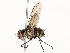  ( - CBG-A54429-D06)  @11 [ ] CreativeCommons - Attribution Share - Alike (2024) CBG Photography Group Centre for Biodiversity Genomics