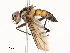  ( - CBG-A54429-D12)  @11 [ ] CreativeCommons - Attribution Share - Alike (2024) CBG Photography Group Centre for Biodiversity Genomics