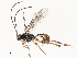  ( - CBG-A54430-H02)  @11 [ ] CreativeCommons - Attribution Share - Alike (2024) CBG Photography Group Centre for Biodiversity Genomics