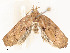  ( - CBG-A54432-E01)  @11 [ ] CreativeCommons - Attribution Share - Alike (2024) CBG Photography Group Centre for Biodiversity Genomics
