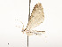  ( - CBG-A54432-E12)  @11 [ ] CreativeCommons - Attribution Share - Alike (2024) CBG Photography Group Centre for Biodiversity Genomics