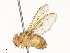  ( - CBG-A54437-D10)  @11 [ ] CreativeCommons - Attribution Share - Alike (2024) CBG Photography Group Centre for Biodiversity Genomics