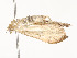  ( - CBG-A54437-H11)  @11 [ ] CreativeCommons - Attribution Share - Alike (2024) CBG Photography Group Centre for Biodiversity Genomics