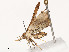  ( - CBG-A54438-A12)  @11 [ ] CreativeCommons - Attribution Share - Alike (2024) CBG Photography Group Centre for Biodiversity Genomics