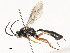  ( - CBG-A54440-G02)  @11 [ ] CreativeCommons - Attribution Share - Alike (2024) CBG Photography Group Centre for Biodiversity Genomics