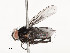  ( - CBG-A54475-B02)  @11 [ ] CreativeCommons - Attribution Share - Alike (2024) CBG Photography Group Centre for Biodiversity Genomics