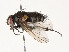  ( - CBG-A54476-A07)  @11 [ ] CreativeCommons - Attribution Share - Alike (2024) CBG Photography Group Centre for Biodiversity Genomics