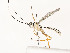 ( - CBG-A54476-A09)  @11 [ ] CreativeCommons - Attribution Share - Alike (2024) CBG Photography Group Centre for Biodiversity Genomics