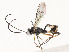  ( - CBG-A54476-C04)  @11 [ ] CreativeCommons - Attribution Share - Alike (2024) CBG Photography Group Centre for Biodiversity Genomics