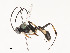  ( - CBG-A54476-D02)  @11 [ ] CreativeCommons - Attribution Share - Alike (2024) CBG Photography Group Centre for Biodiversity Genomics
