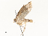  ( - CBG-A54477-B04)  @11 [ ] CreativeCommons - Attribution Share - Alike (2024) CBG Photography Group Centre for Biodiversity Genomics