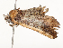  ( - CBG-A54479-E03)  @11 [ ] CreativeCommons - Attribution Share - Alike (2024) CBG Photography Group Centre for Biodiversity Genomics