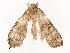  ( - CBG-A54479-E11)  @11 [ ] CreativeCommons - Attribution Share - Alike (2024) CBG Photography Group Centre for Biodiversity Genomics
