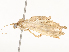  ( - CBG-A54479-G07)  @11 [ ] CreativeCommons - Attribution Share - Alike (2024) CBG Photography Group Centre for Biodiversity Genomics