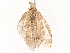  ( - CBG-A54479-G08)  @11 [ ] CreativeCommons - Attribution Share - Alike (2024) CBG Photography Group Centre for Biodiversity Genomics