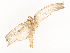  ( - CBG-A54479-H01)  @11 [ ] CreativeCommons - Attribution Share - Alike (2024) CBG Photography Group Centre for Biodiversity Genomics