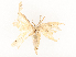  ( - CBG-A54479-H02)  @11 [ ] CreativeCommons - Attribution Share - Alike (2024) CBG Photography Group Centre for Biodiversity Genomics