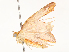  ( - CBG-A54479-H11)  @11 [ ] CreativeCommons - Attribution Share - Alike (2024) CBG Photography Group Centre for Biodiversity Genomics