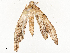  ( - CBG-A54480-A11)  @11 [ ] CreativeCommons - Attribution Share - Alike (2024) CBG Photography Group Centre for Biodiversity Genomics