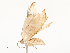  ( - CBG-A54480-B06)  @11 [ ] CreativeCommons - Attribution Share - Alike (2024) CBG Photography Group Centre for Biodiversity Genomics