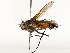  ( - CBG-A54480-B10)  @11 [ ] CreativeCommons - Attribution Share - Alike (2024) CBG Photography Group Centre for Biodiversity Genomics