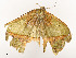  ( - CBG-A58554-A07)  @11 [ ] CreativeCommons - Attribution Share - Alike (2024) CBG Photography Group Centre for Biodiversity Genomics