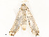  ( - CBG-A58554-F02)  @11 [ ] CreativeCommons - Attribution Share - Alike (2024) CBG Photography Group Centre for Biodiversity Genomics