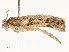  ( - CBG-A58554-G02)  @11 [ ] CreativeCommons - Attribution Share - Alike (2024) CBG Photography Group Centre for Biodiversity Genomics