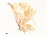  ( - CBG-A58558-D08)  @11 [ ] CreativeCommons - Attribution Share - Alike (2025) CBG Photography Group Centre for Biodiversity Genomics
