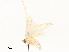  ( - CBG-A58558-D10)  @11 [ ] CreativeCommons - Attribution Share - Alike (2025) CBG Photography Group Centre for Biodiversity Genomics