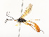  ( - CBG-A58559-A06)  @11 [ ] CreativeCommons - Attribution Share - Alike (2025) CBG Photography Group Centre for Biodiversity Genomics